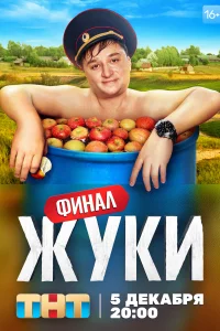 Жуки